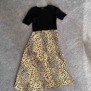 Ann Taylor Dress | Mid-Length | Never worn